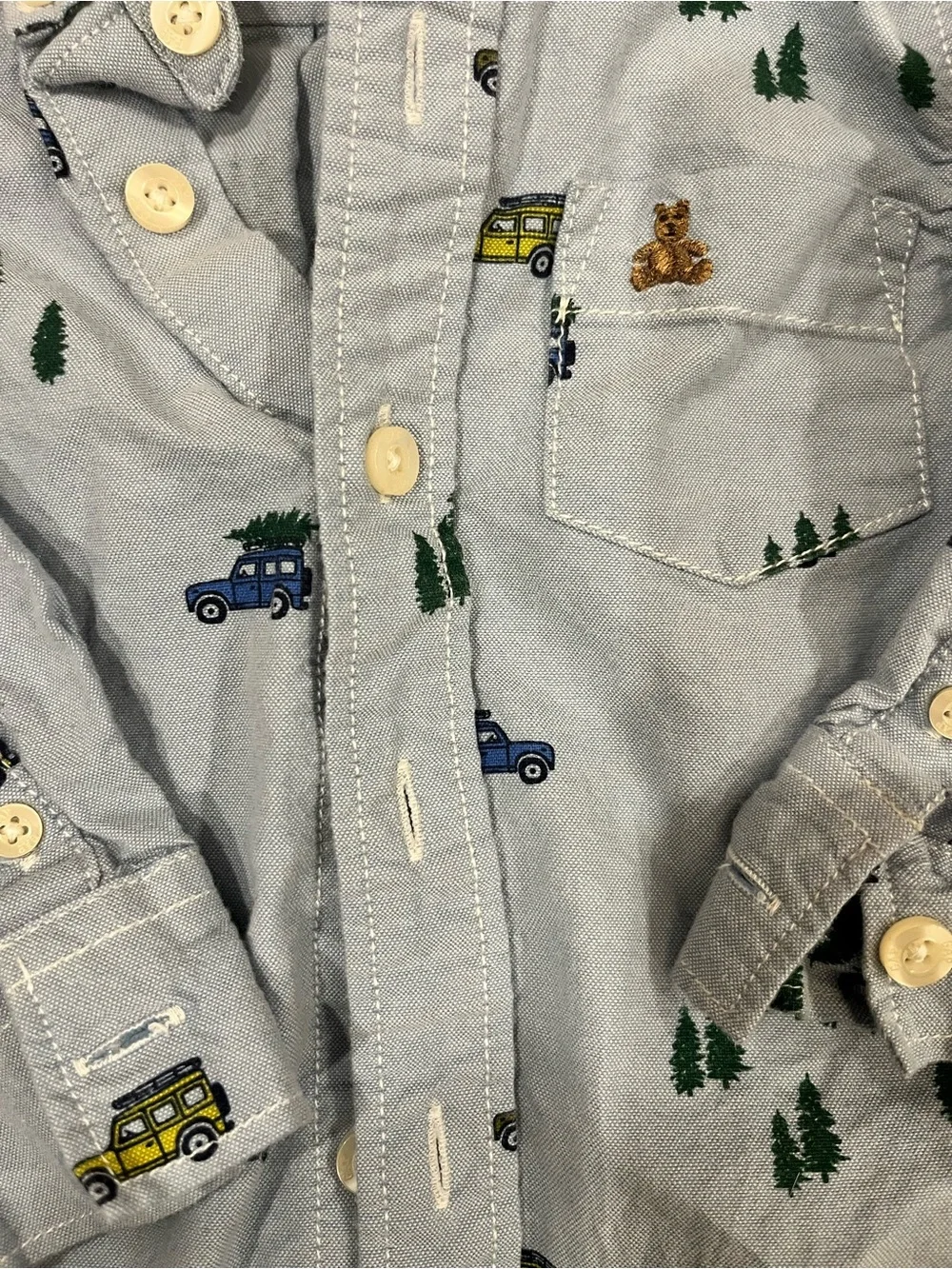 Baby Gap Holiday Oxford